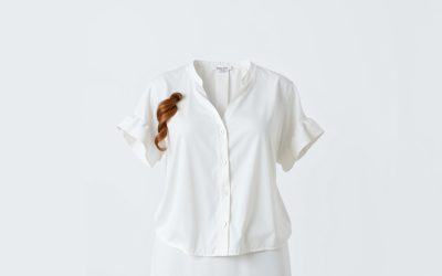 Best Plus Size Dressy Blouse 2026