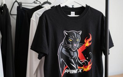 Best Panther Build Persona 5 Phantom X Fire DPS Guide